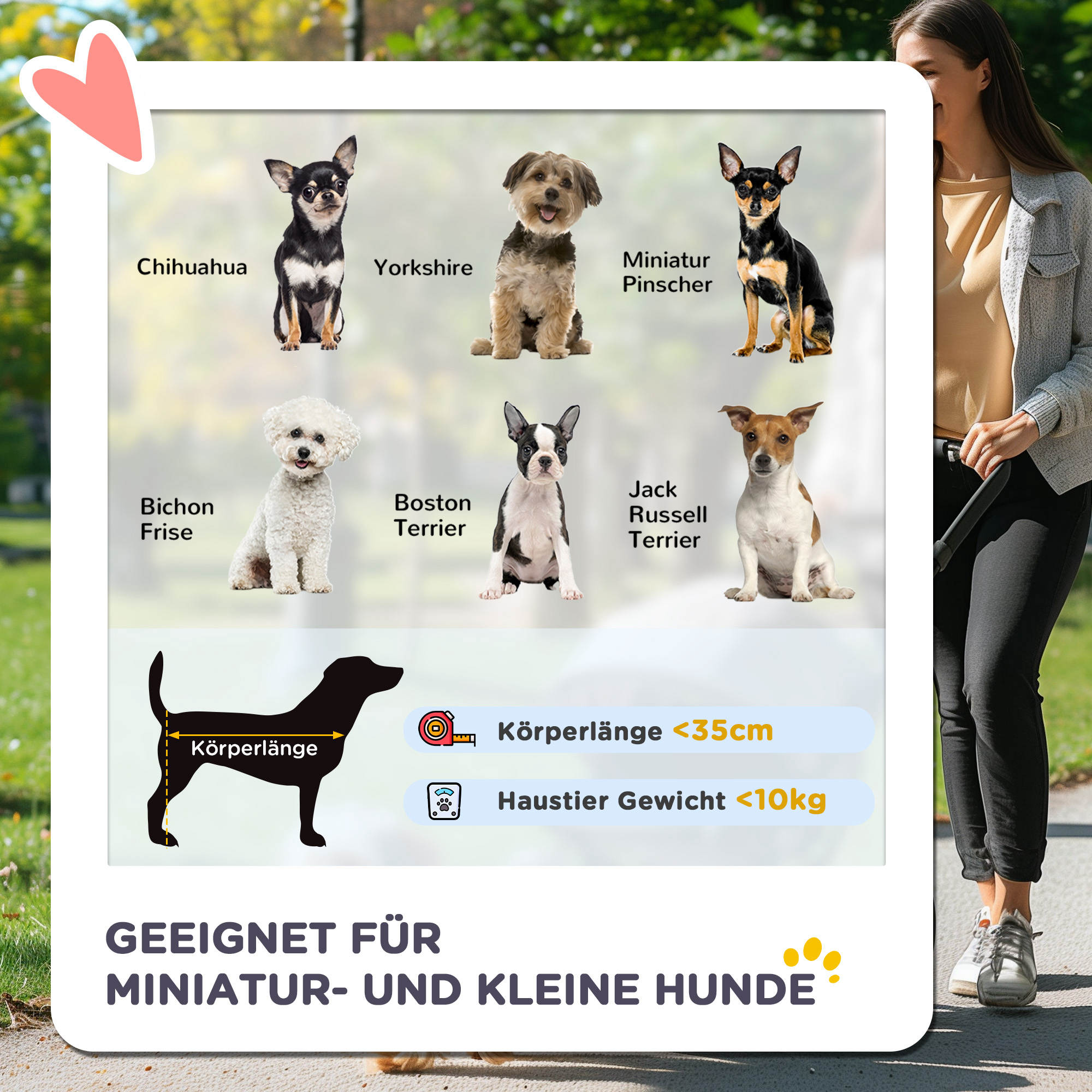 Hundewagen Hundebuggy bis 10 kg Klappbar verstellbares Vordach 2 Becherhalter Sonnendach Silber
