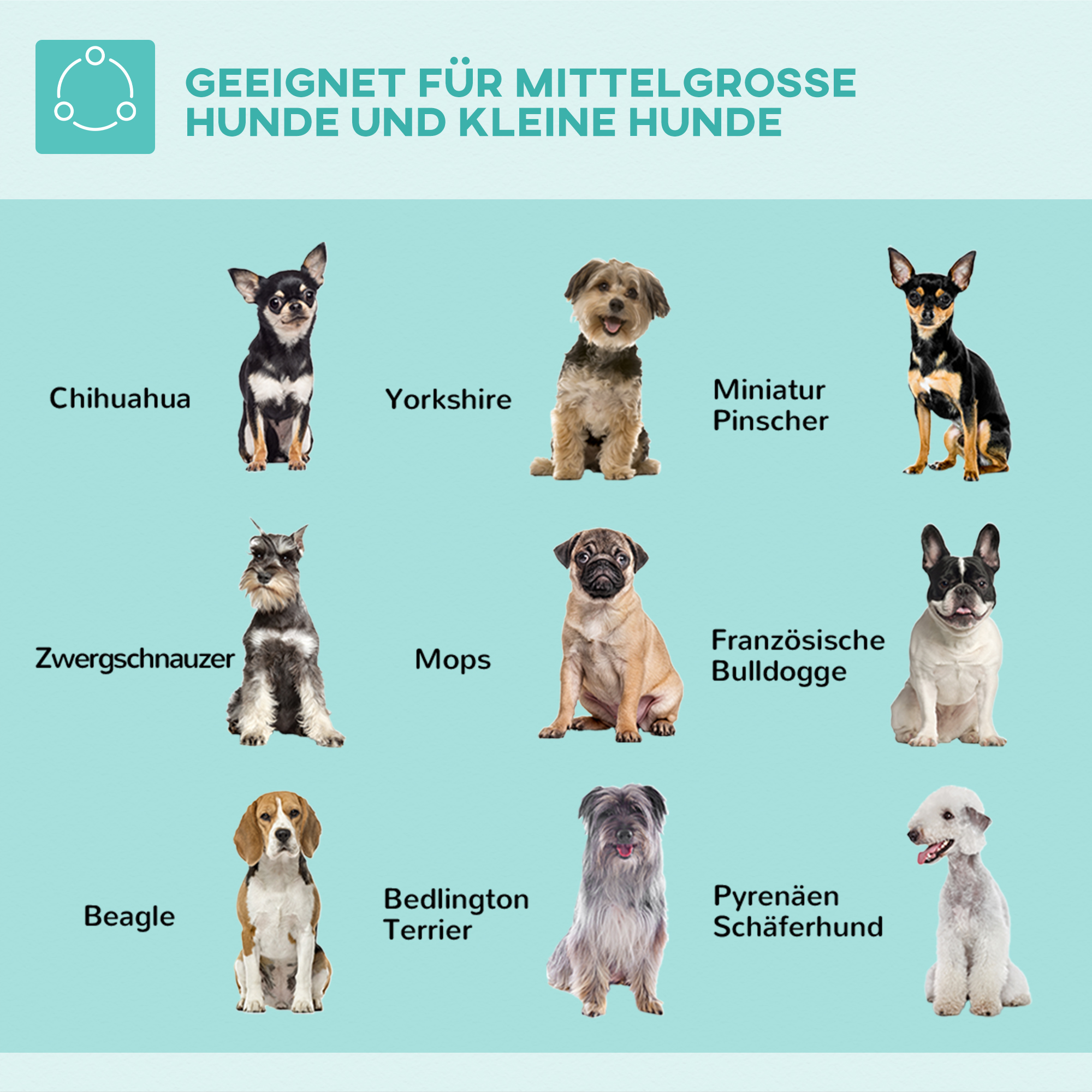 Haustierfrisiertisch Frisiertisch für Haustiere, höhenverstellbar, 36  x 8 x 74 cm, Silber