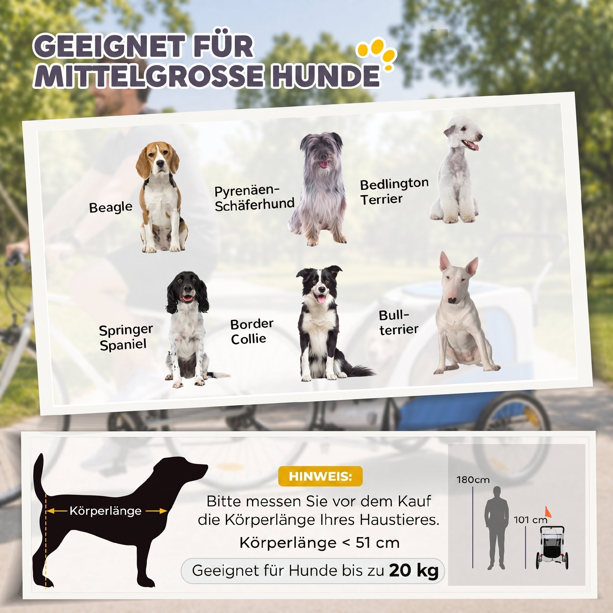 2-in-1 Hundeanhänger für Fahrrad Faltbarer Hundebuggy für kleine & mittelgroße Hunde bis 20 kg, Hellgrau