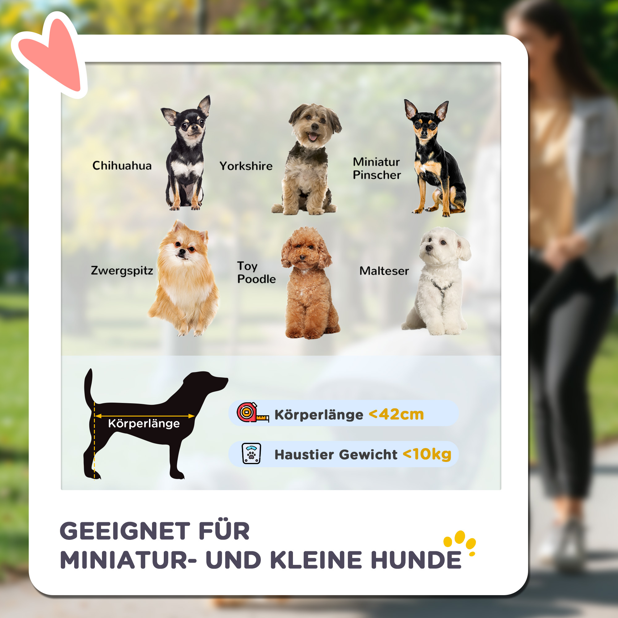 Hundebuggy Hundewagen bis 10kg klappbar verstellbares Vordach Bodenkorb Kissen Seitentasche 81 cm x 48 cm x 99 cm Grau
