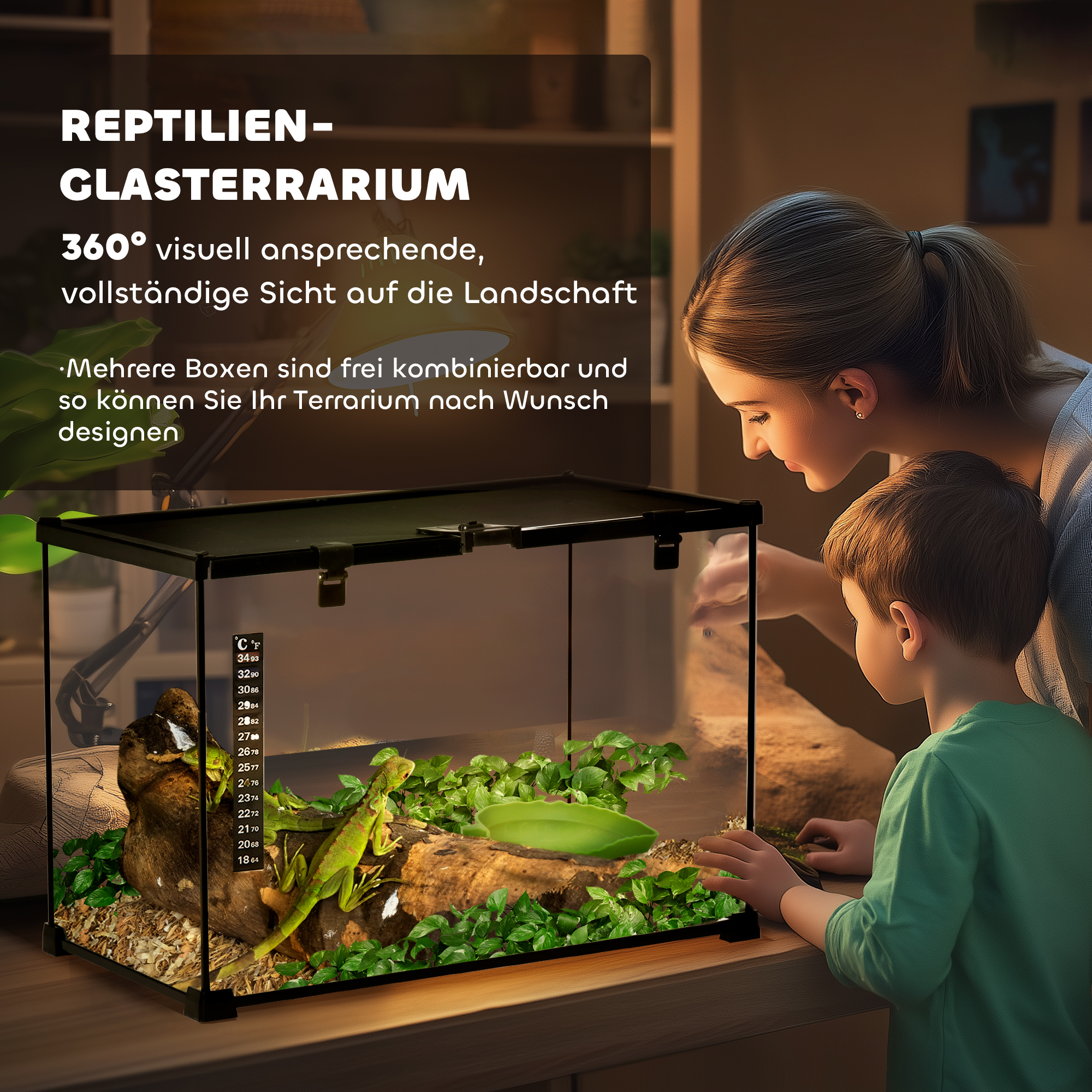 Terrarium für Reptilien Reptile Fütterungsbox Glasterrarium Amphibien Spinnentiere mit Thermometer Reptilienzuchtbox für Schnecken Amphibien Insekten Schildkröten Schwarz 50 x 30 x 35 cm