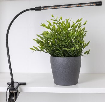 LED Pflanzenlampe "CT-PFL" Rot+Blau, 1-fach, Klemmhalter, Kabel-FB