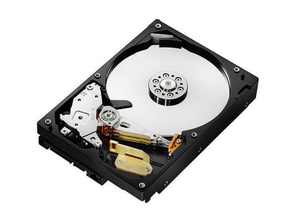 Harddisk WD Black 2TB WD2003FZEX