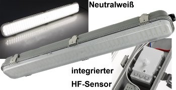 LED Deckenleuchte "HORTA", 60cm, IP65